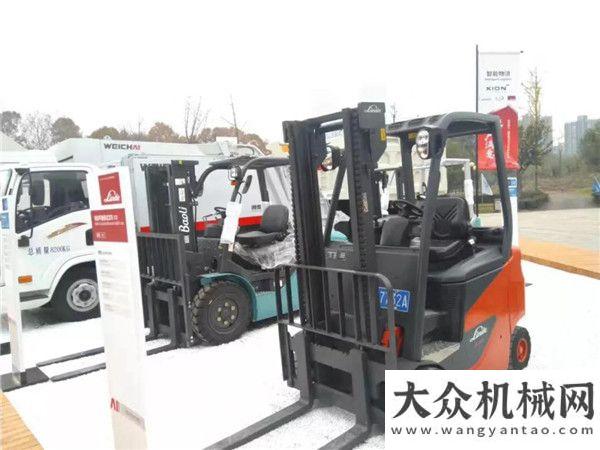 行業(yè)金罐獎雪中一抹紅?林德叉車亮相濰柴動力2020年商務(wù)林德榮