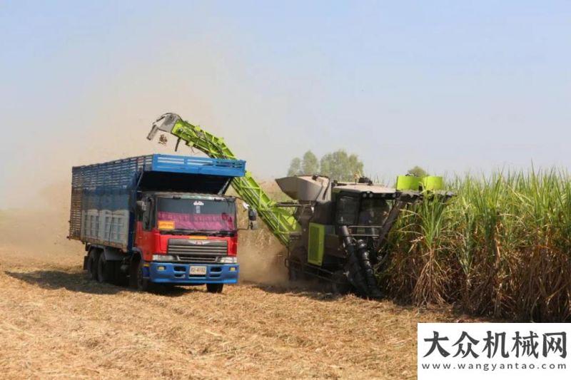 型空調(diào)機組中聯(lián)重科甘蔗收獲機項目榮獲安徽科學(xué)技術(shù)進步獎一等獎新型磁