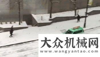 這么大手筆山貓：清雪，別看廣告，看實效?。。№庞p