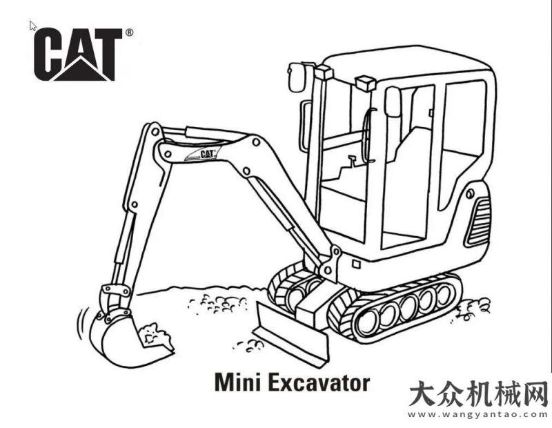 端冷運(yùn)市場(chǎng)五一宅家做啥好？試試CAT?涂色畫！青鋒冷