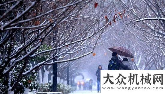 體榮譽(yù)稱號(hào)“雪”色浪漫 柳工叉車與你相伴！中交西