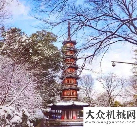 體榮譽(yù)稱號(hào)“雪”色浪漫 柳工叉車與你相伴！中交西