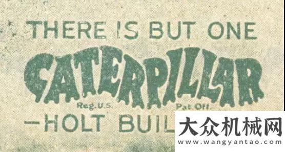 命于新航程“Caterpillar”名字進化圖鑒立宏志