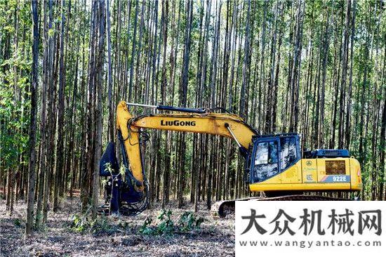 量出口非洲波動中的“桑巴”市場，柳工磨礪以須方圓集