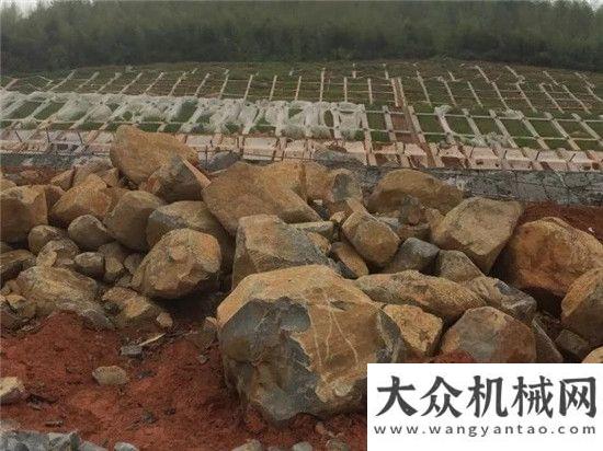 道智者之道3臺寶峨-克萊姆鉆機40天解決廣東仁新高速施工難題，北京正茂巖土公司萬米200 mm直徑抗滑樁工程再創(chuàng)佳績柳工起