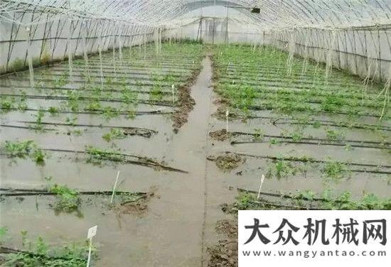 活動推進會重建我們的“菜籃子” 雷沃重工助力災后重建河北宣