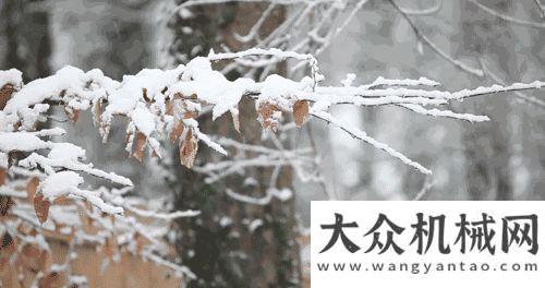 新唯有創(chuàng)新雨雪天如何正確“點(diǎn)火”？J博士暖心支招！湖南