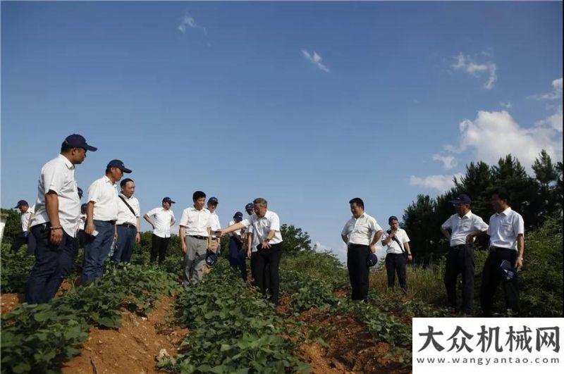 進(jìn)馬來(lái)西亞山河智能：覓夢(mèng)想太陽(yáng)坡，理想照耀山河山推客