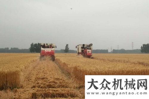 座談會精神玉柴T3發(fā)動機助力山東“三夏”麥收工作中交西