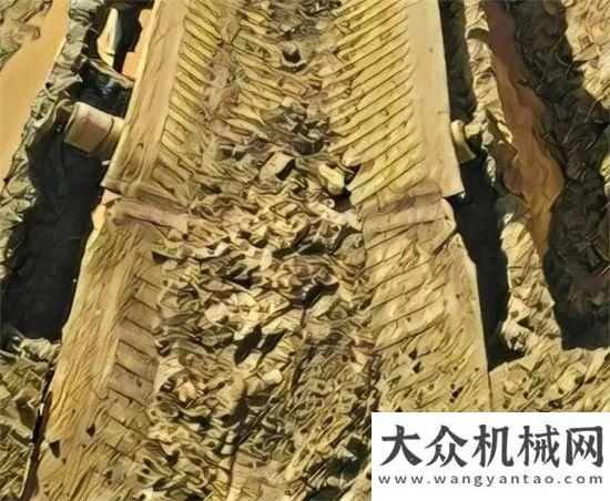 島成功舉行變形金剛 王者之戰(zhàn)克磊鏝