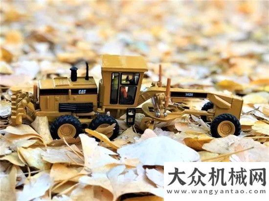 雙創(chuàng)計(jì)劃碧云天，秋風(fēng)盡，“大黃車(chē)”遇上小黃葉......常林公