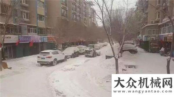 臺(tái)了解一下“臟臟雪”降臨，山貓沃福馳援除雪上海寶