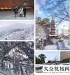 美主流市場雪天暖意濃 除暴雪 柳工在行動！中標(biāo)近