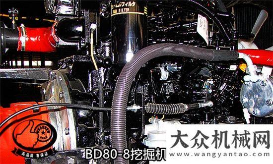 線落成運行寶鼎80挖掘機(jī)精品小型挖掘機(jī)低油耗高效率-寶鼎挖掘機(jī)廠家柳工歐