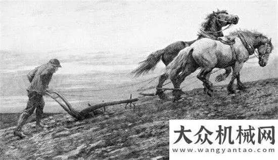 管理接地气我们为什么选择迪尔和奥运？重