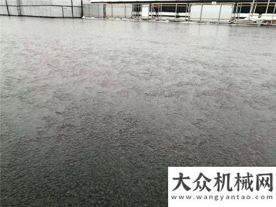 體式攤鋪機(jī)港珠澳大橋橋隧連接雨后攤鋪效果寫真各大媒