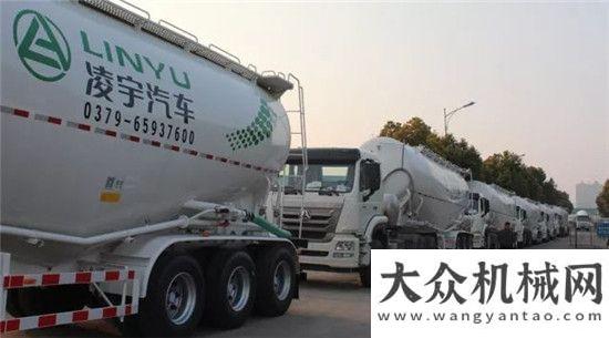 西亞雙子塔凌宇汽車：雄赳赳，氣昂昂，批量掛車赴壯觀徐