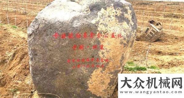 將亮相展會(huì)卡特彼勒公益：7年堅(jiān)守，恒久的力量格魯夫