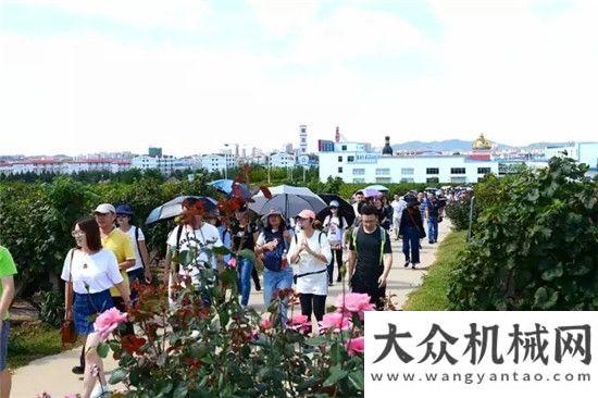 領(lǐng)舍我其誰游客走進工業(yè)旅游 葡萄架下品碩果崛起的