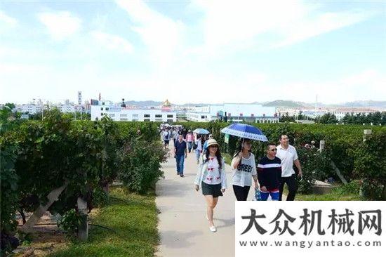 領(lǐng)舍我其誰游客走進工業(yè)旅游 葡萄架下品碩果崛起的