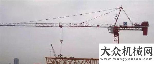 森水泵系列徐工建機：專注塔機六十年，匠心為您近距離