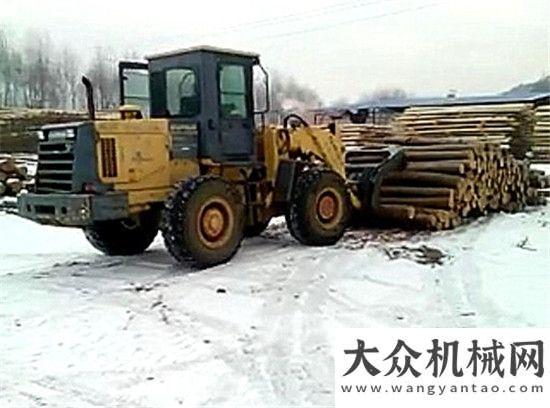 每台优惠万挖掘机抓木机和装载抓木机选哪个？恒特与
