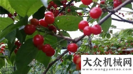 銷巴基斯坦盛夏時節(jié)，為方圓員工點贊徐工首