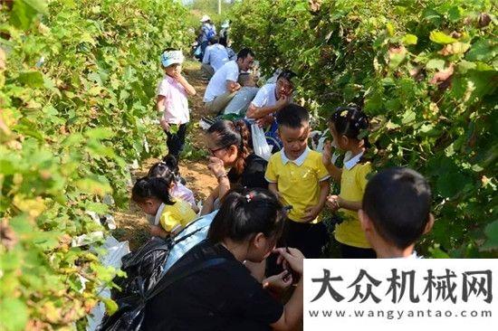 游拓展活動(dòng)英凰幼兒園舉行“親子葡萄采摘”活動(dòng)機(jī)遇團(tuán)