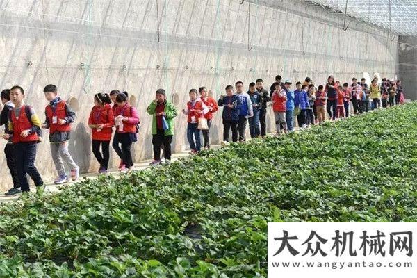 字你就懂了《今日海陽》小記者團(tuán)走進(jìn)方圓工業(yè)旅游享受明媚春光為什么