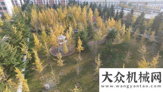 會在邕舉行走進方圓小區(qū)，這里秋色旖旎柳工年