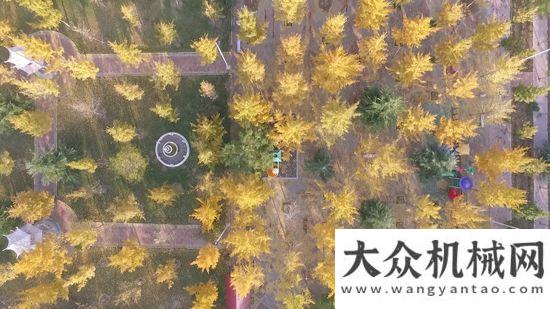 會在邕舉行走進方圓小區(qū)，這里秋色旖旎柳工年