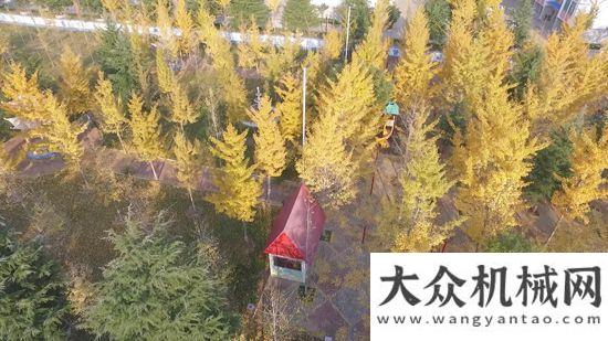 會在邕舉行走進方圓小區(qū)，這里秋色旖旎柳工年