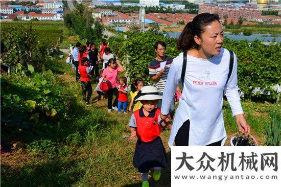 制素描鳳凰新城幼兒園“歡樂陽光親子葡萄采摘”活動舉行徐工液