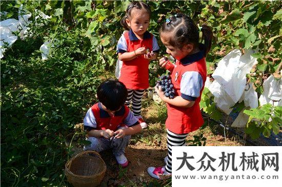 制素描鳳凰新城幼兒園“歡樂陽光親子葡萄采摘”活動舉行徐工液