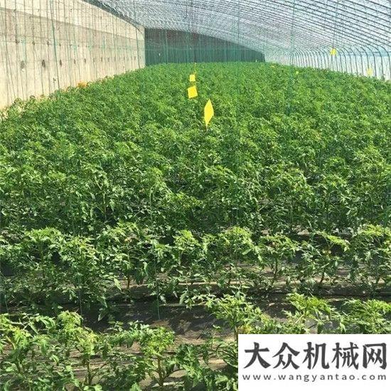 菲經貿論壇方圓生態(tài)園一片盎然生機三一重