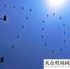 碼頭牽引車“9.3”大閱兵前奏曲——廈工軍品列隊給您敬禮啦！卡爾瑪