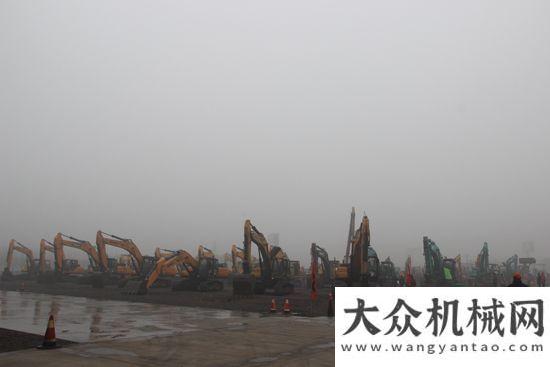 用指导目录“两地联拍”，八达国际-利氏兄弟大型无底价拍卖会圆满收官中交西