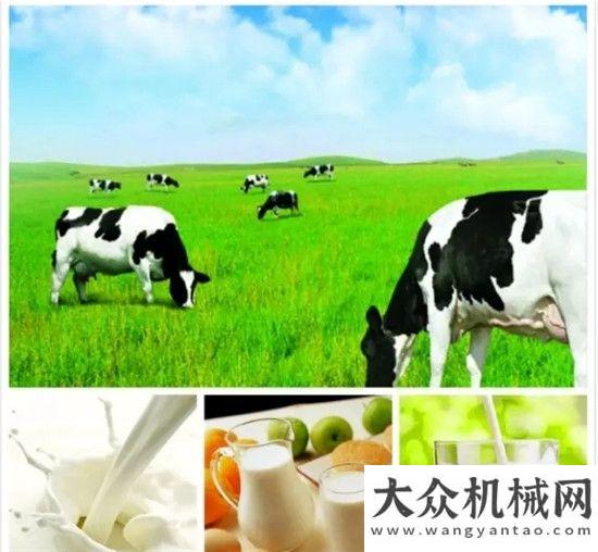 州智造名片因可靠 而信赖 冷链运输 陕汽康明斯效率称王柳工打