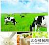 州智造名片因可靠 而信賴 冷鏈運(yùn)輸 陜汽康明斯效率稱王柳工打