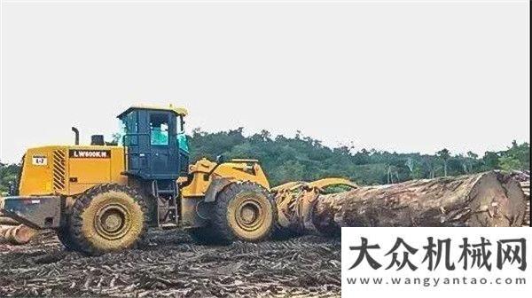 漠引水奇跡再獲千萬訂單！為什么非洲兄弟獨愛“徐工造”？世界最