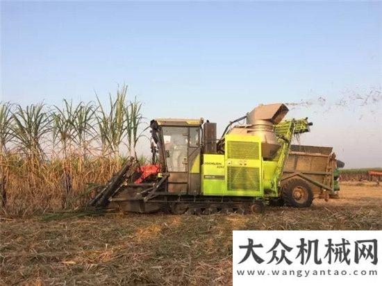 并节燃油农业：推进农业供给侧结构性要把握四个方面卡尔玛