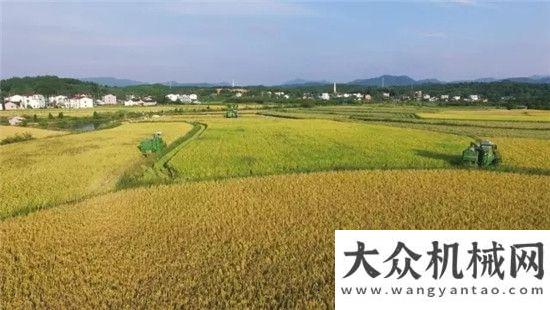 并节燃油农业：推进农业供给侧结构性要把握四个方面卡尔玛