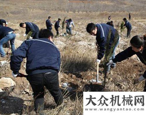 廣州南沙港斗山集團積極踐行“斗山全球公益日”志愿服務臺