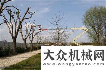 展疯狂吸睛捷尔杰超级战将系列之“蜘蛛车”耳目一