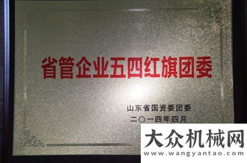 務(wù)發(fā)展德工機械團委獲“山東管企業(yè)五四紅旗團委”稱號林德中
