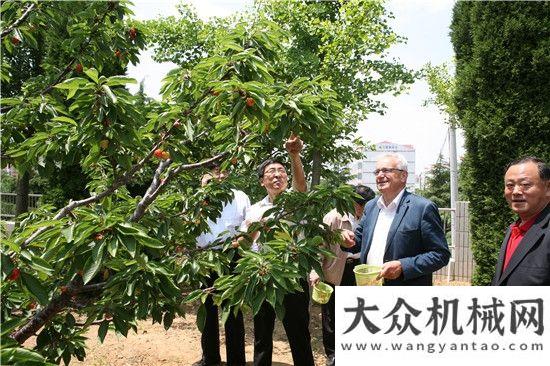 賃服務平臺國際葡萄與葡萄酒組織總干事讓.瑪麗.奧蘭德一行來賓考察煙臺金鼎葡萄酒業(yè)有限公司中聯重