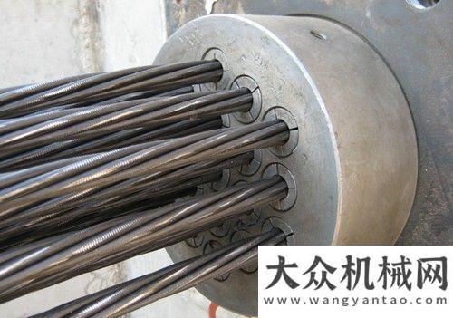 造商技術(shù)日柳工歐維姆：節(jié)能低碳 超低溫錨具實(shí)現(xiàn)國產(chǎn)化伊頓在