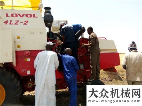 一臺壓路機異國的春節(jié) 雷沃海外服務隊員在蘇丹國機重