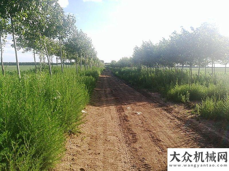 設(shè)的排頭兵長春德惠用戶黃老板：我信賴玉柴挖掘機路馳公