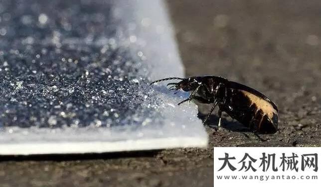 利完成安装即将进入“太阳能”公路时代 筑养路企业大有可为西筑公
